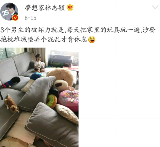 林志颖微博