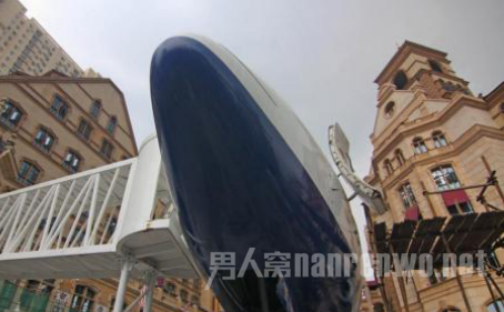 �ɻ�����