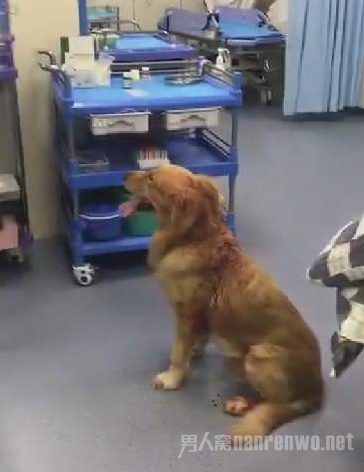 ���ӵĳ��ﹷ