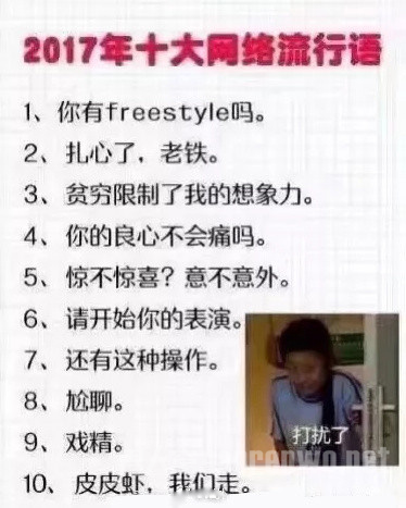 十大网络流行语