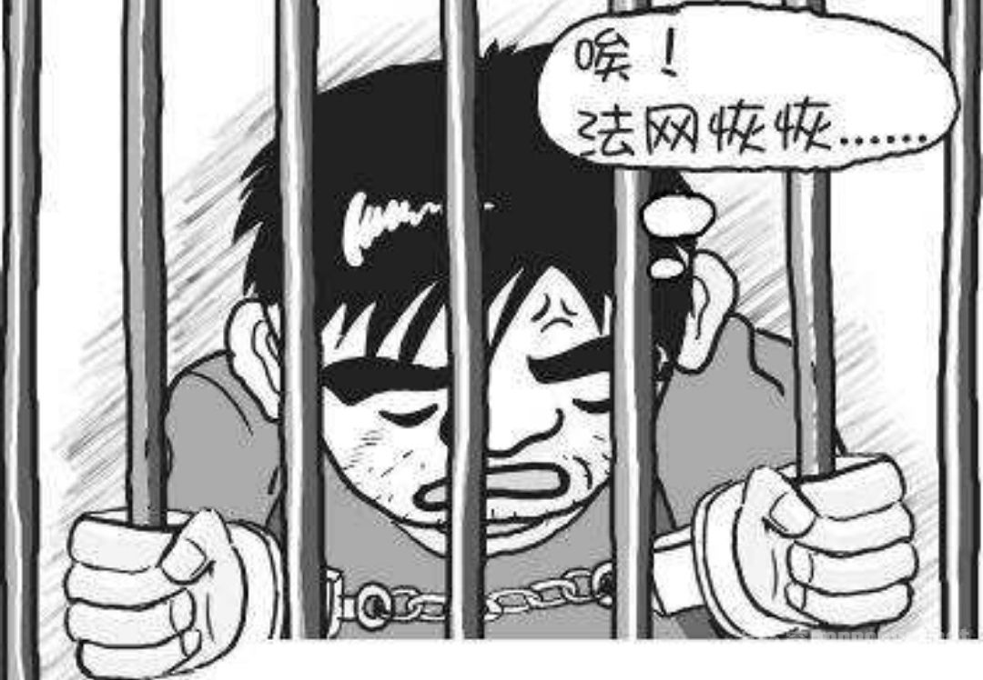 法网恢恢