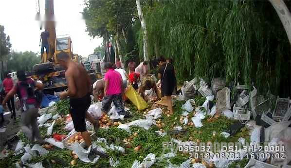 桃子散落一地，众人枪桃子