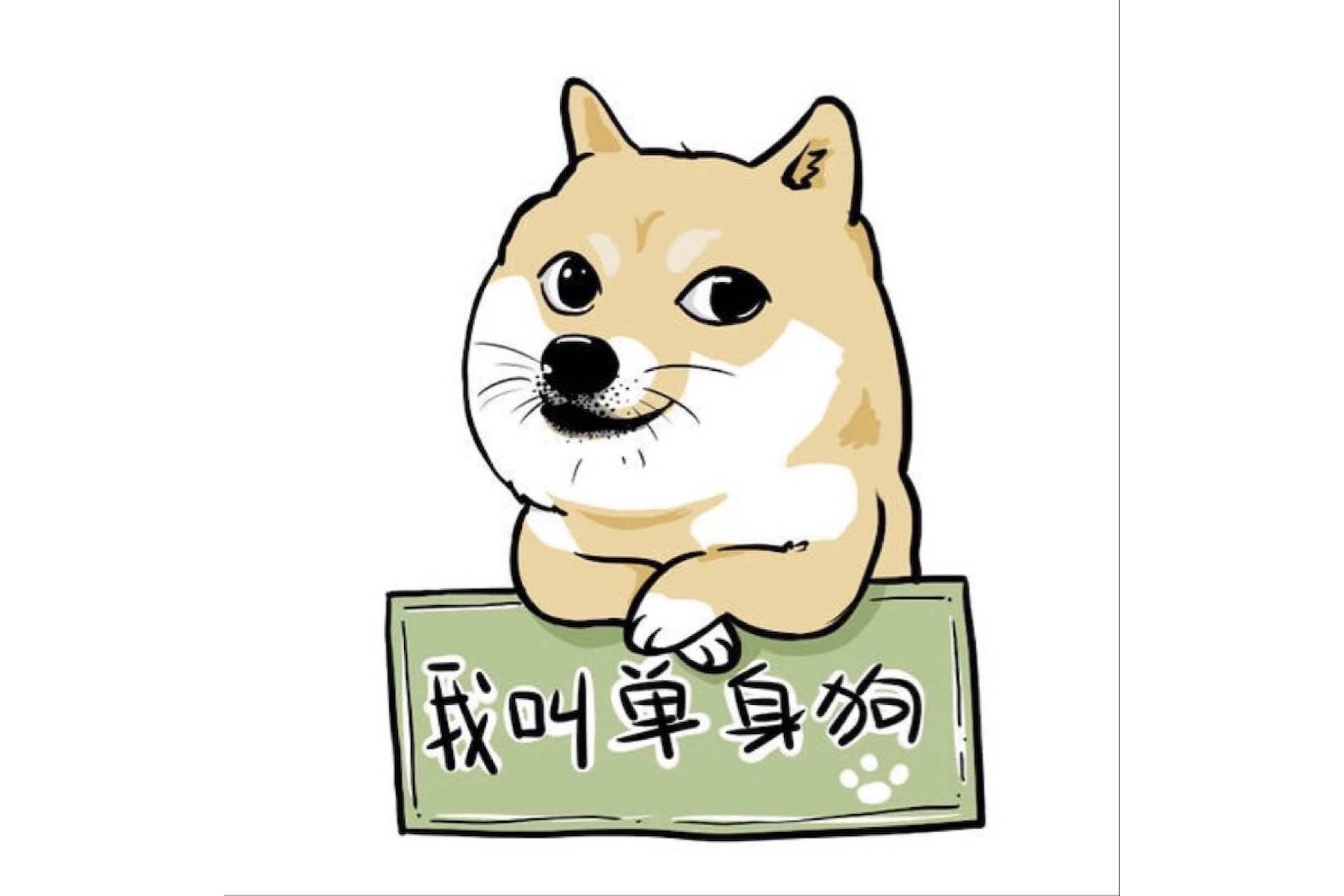 23굥29굥
