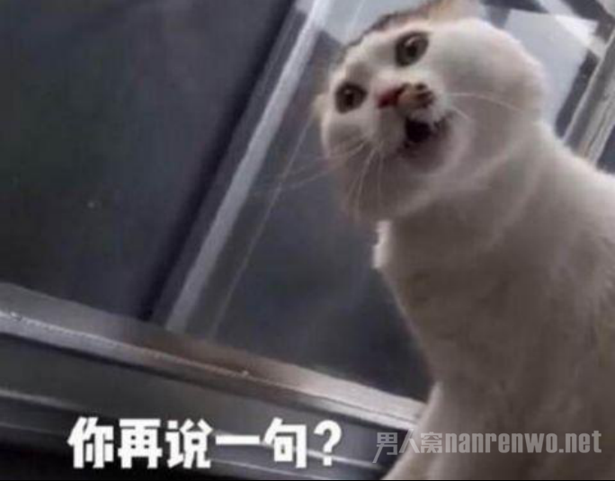白猫：你再说一句