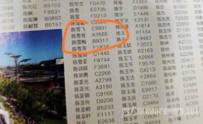 北马咸猪手