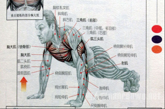 20ӷ