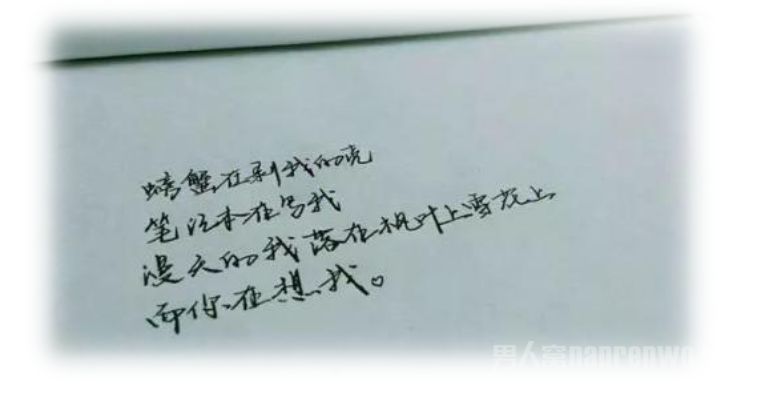 文科生的情书