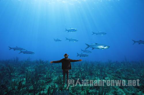 ������������