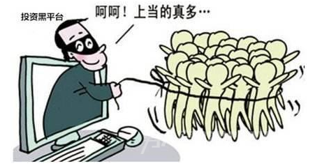 专挑老人下手