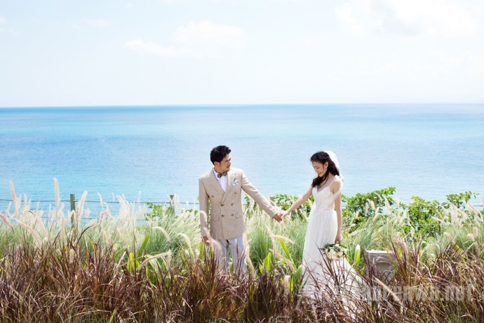杨烁补办婚礼