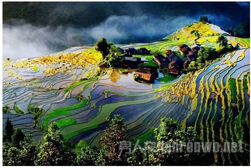龙脊梯田景区火灾