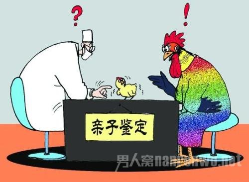 亲子鉴定师