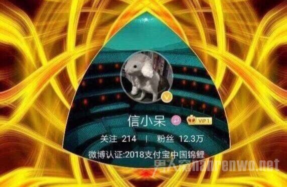 信小呆锦鲤附体