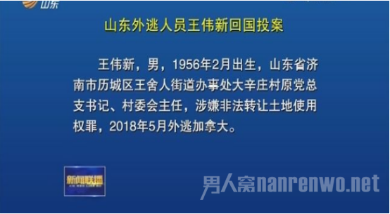 王伟新外逃投案