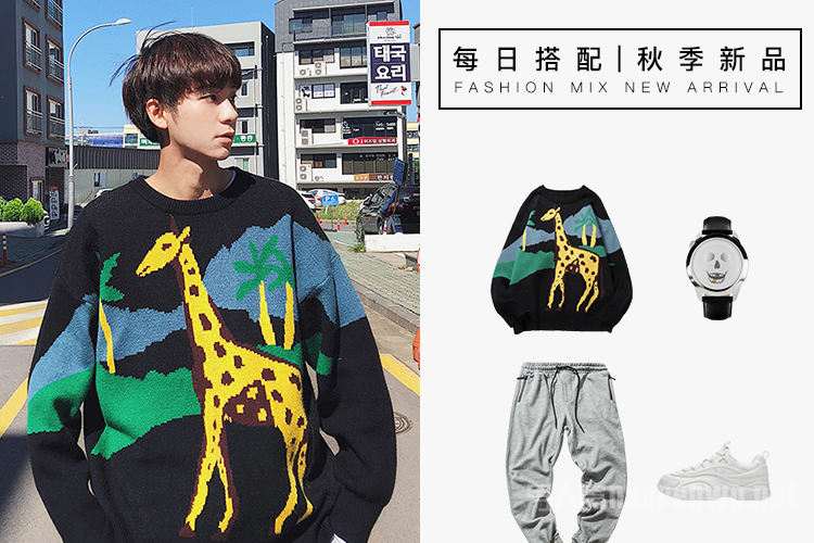 动物图案服饰
