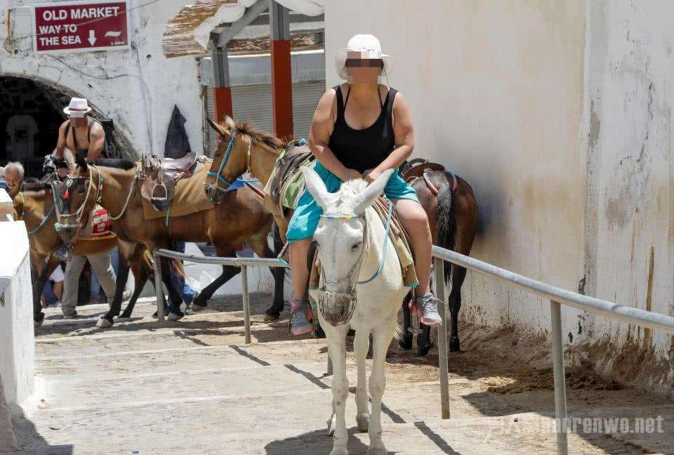 ֹο͹۹
