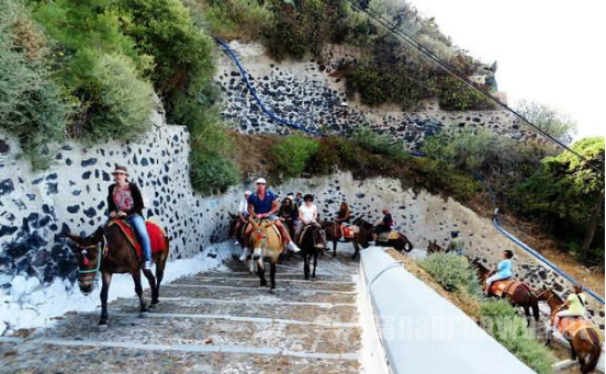 ��ֹ�����ο͹۹�