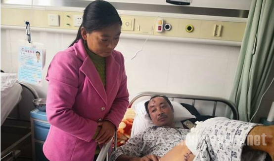 采蘑菇被熊攻击