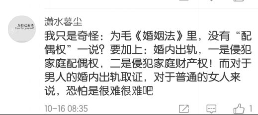 私家侦探偷拍判刑