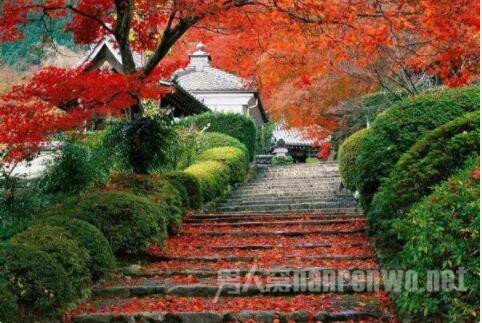 ��ɽͣ������֪ͨ