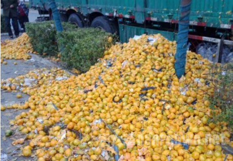 �ҳ�������������