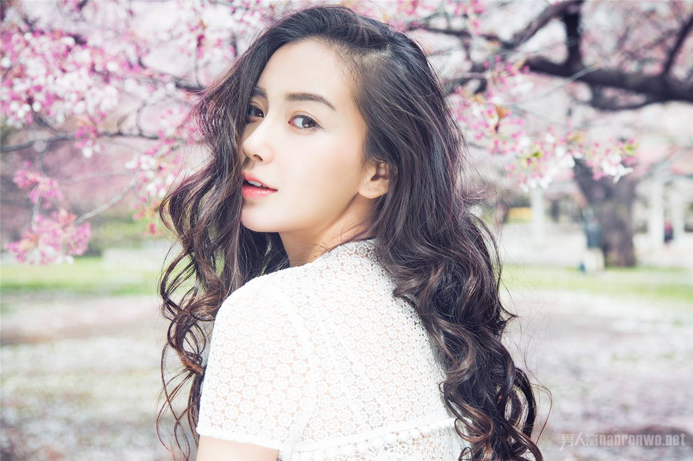 杨颖