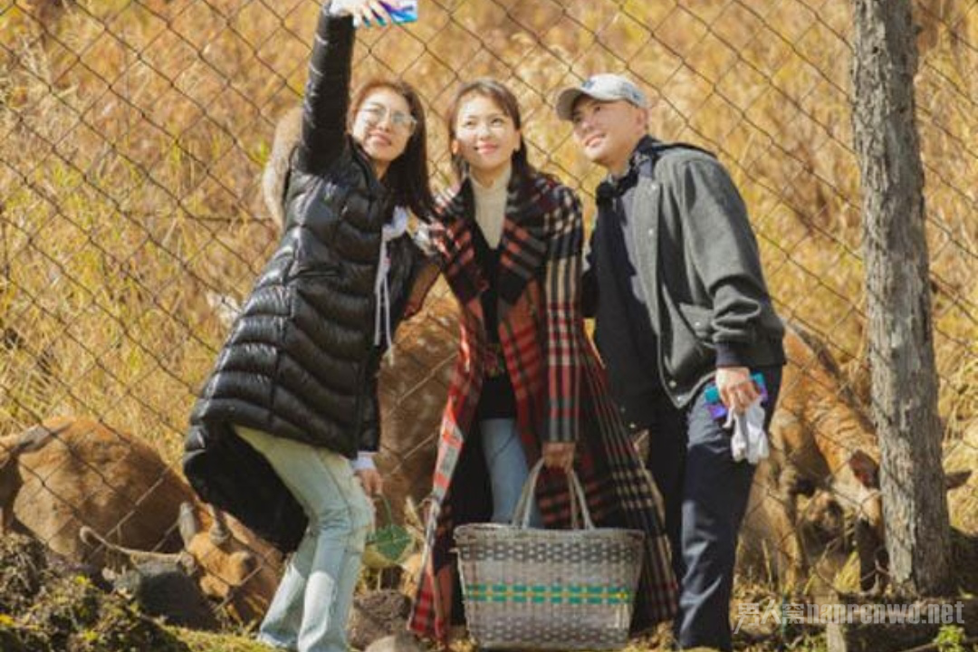 刘涛胡杏儿