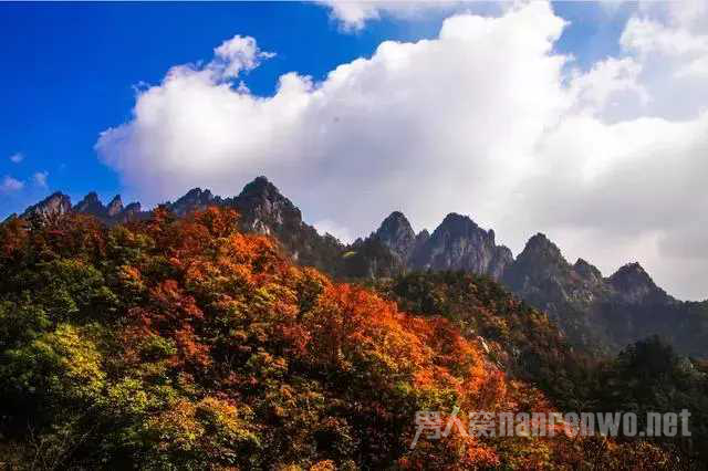 秋天最美之景