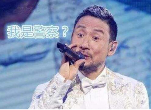 ”逃犯克星“张学友演唱会再抓逃犯