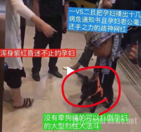 网友爆料