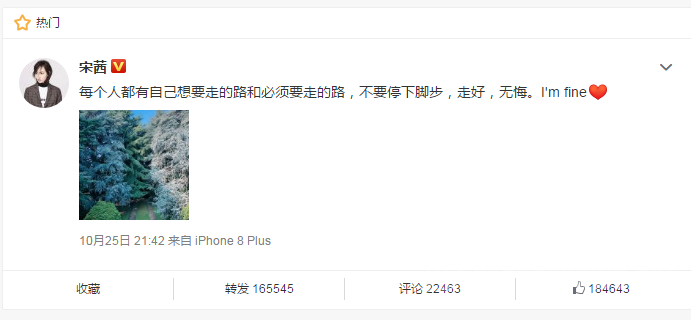 宋茜发文崔雪莉放飞自我