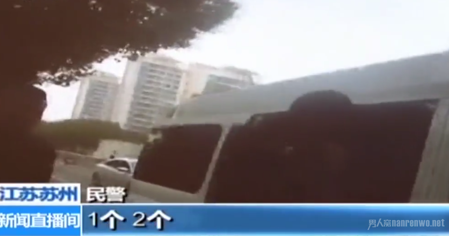 小车实载31人