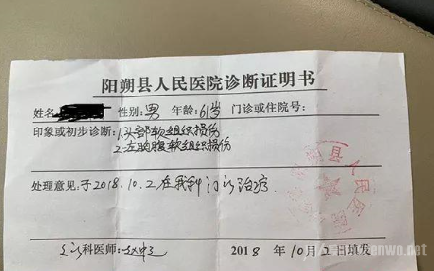 广西野导群殴游客