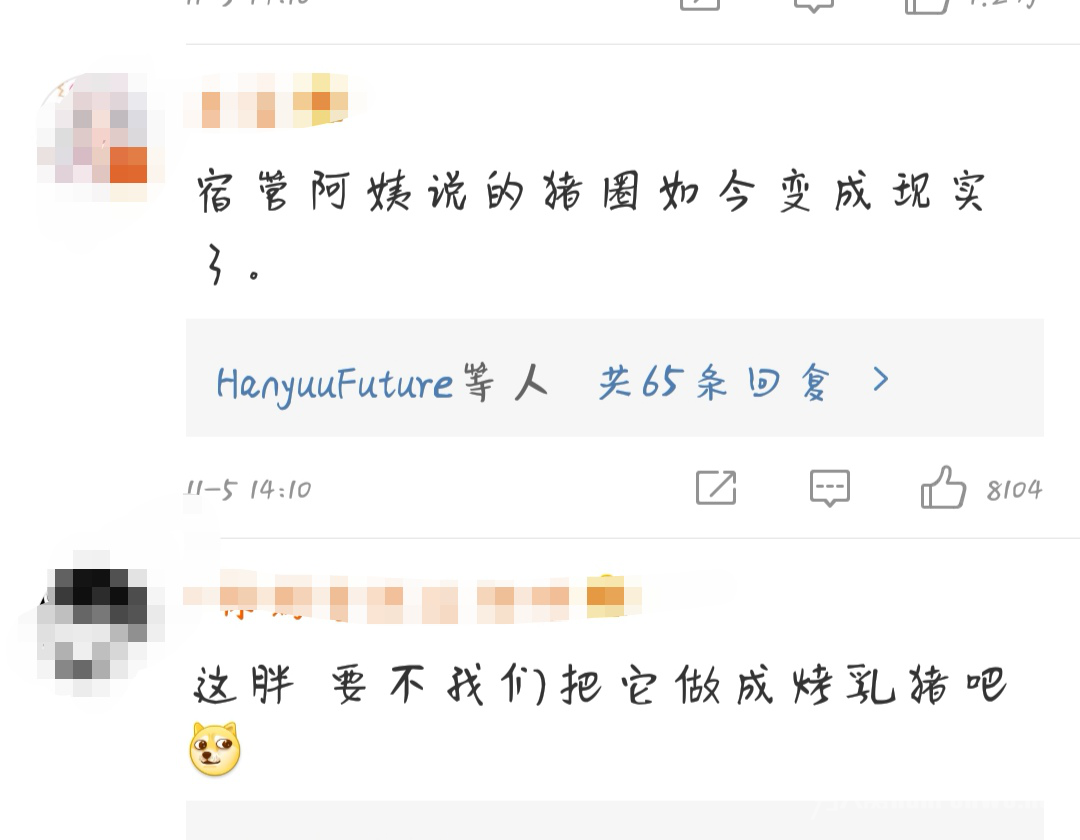 网友评论