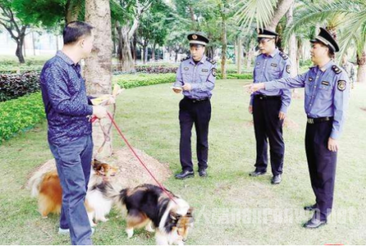发现违反规定的爱狗人士基本以教育为主