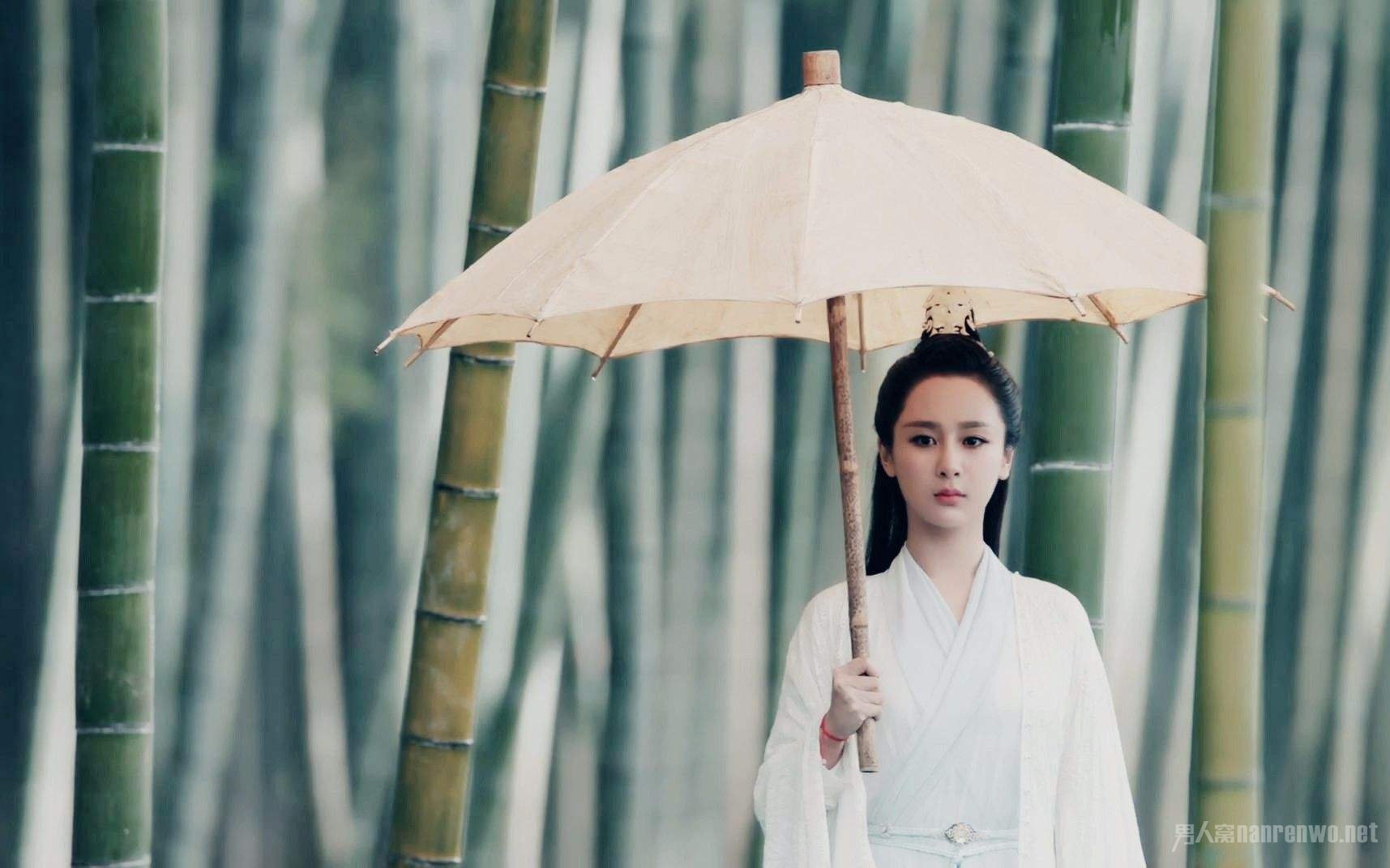 杨紫青云志