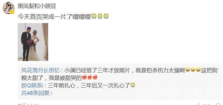网友评论