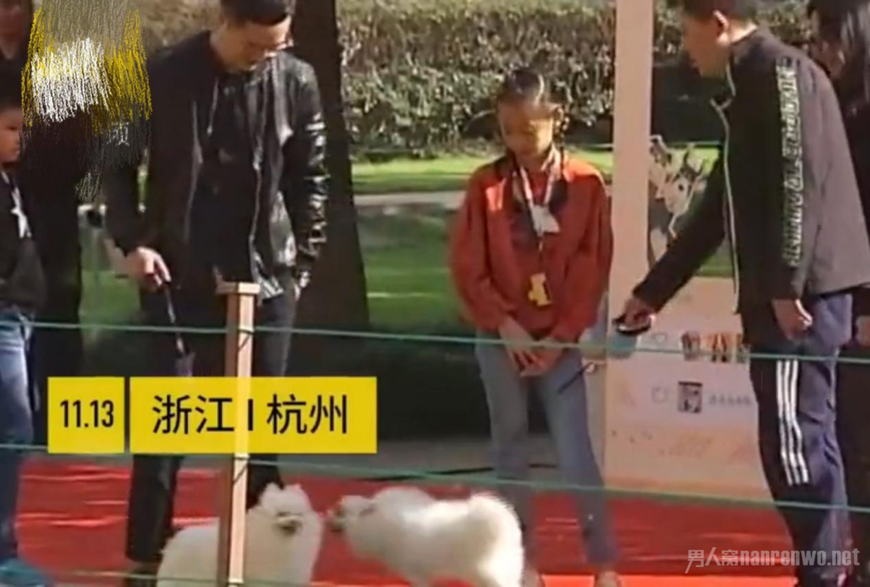办狗证