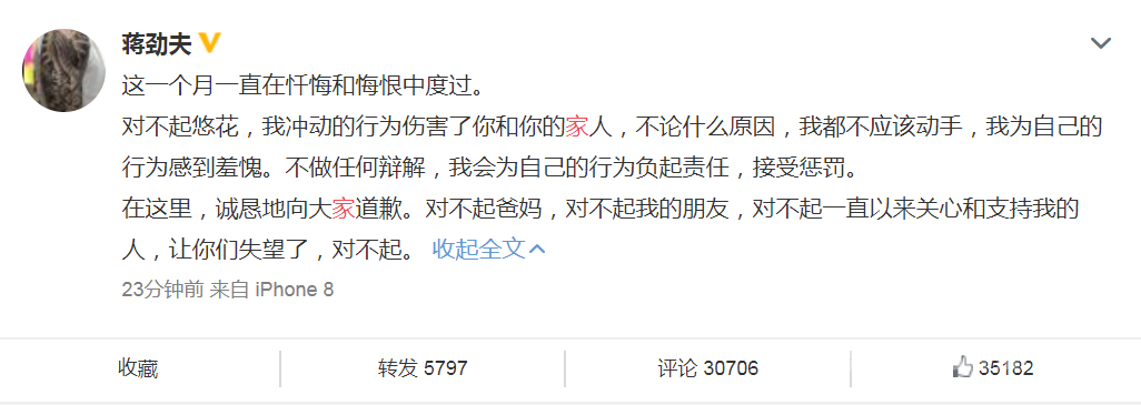 蒋劲夫承认家暴