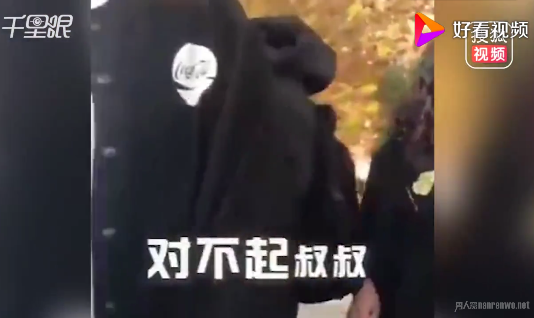 胖小伙挤地铁被骂哭