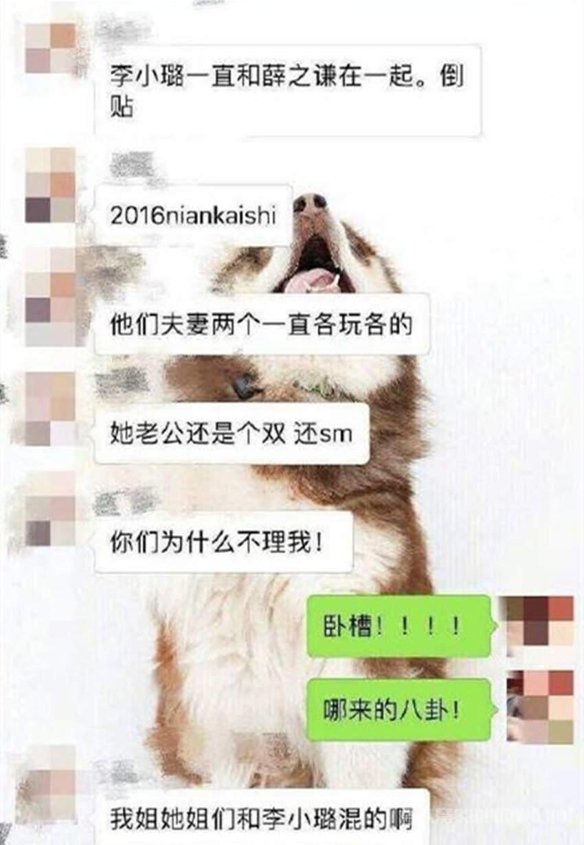网友造谣贾乃亮双性恋