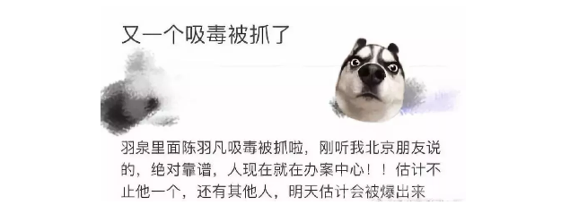 陈羽凡吸毒被捕