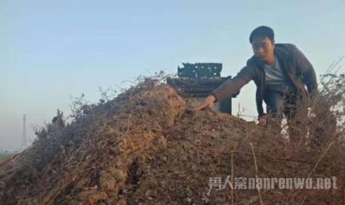 七旬男子掘人祖坟