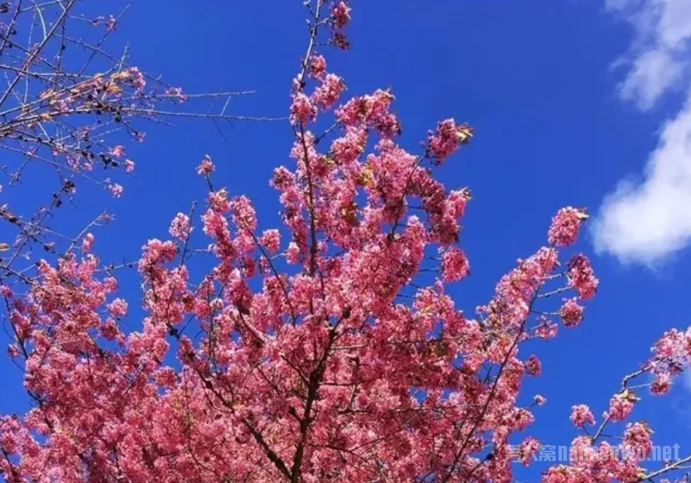 冬季旅行推荐地