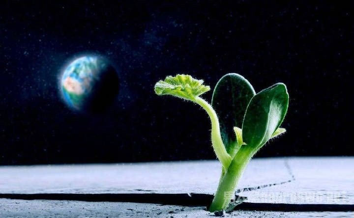 月球科研