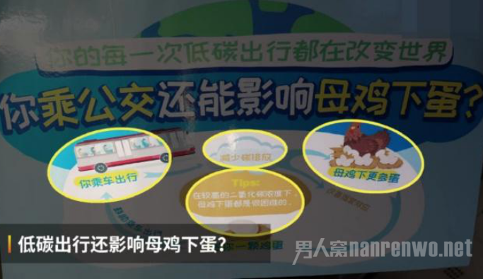 天津养鸡公交