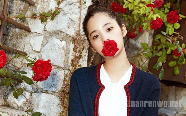 ŷ������