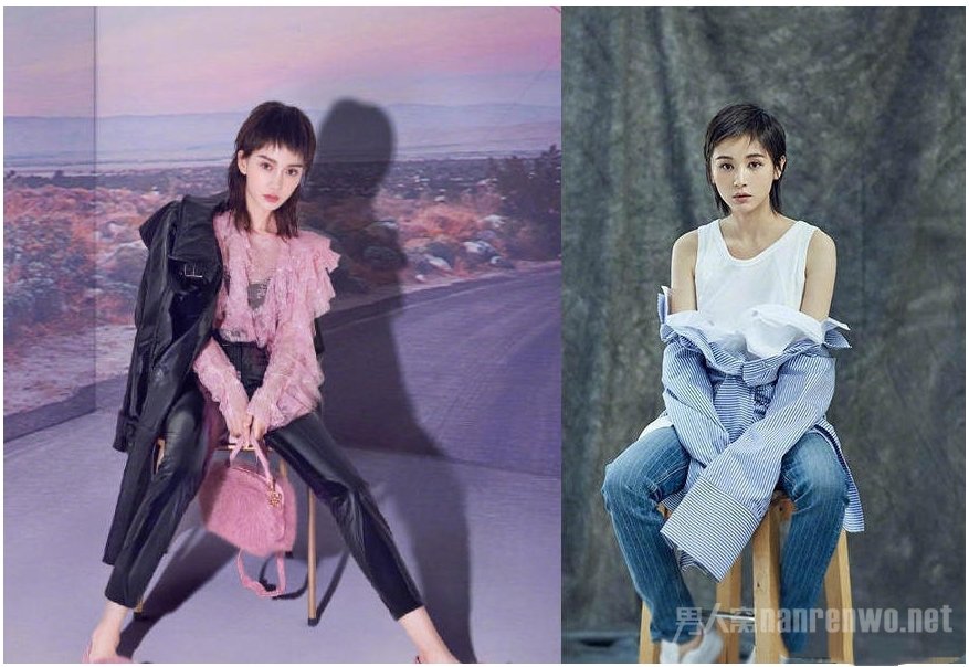 Angelababy撞脸王子文