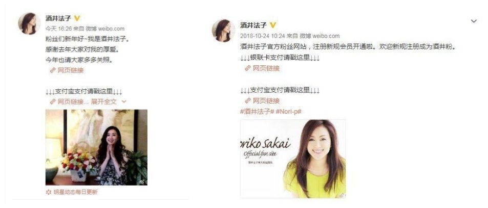 酒井法子在线乞讨