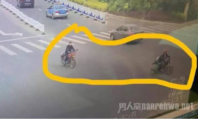 吃货抢走11斤螃蟹
